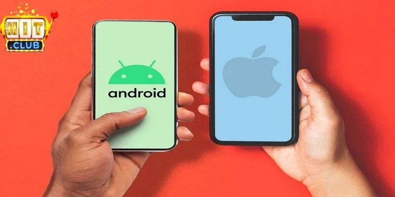 Xác nhận thông tin đăng nhập chuẩn theo đúng hướng dẫn